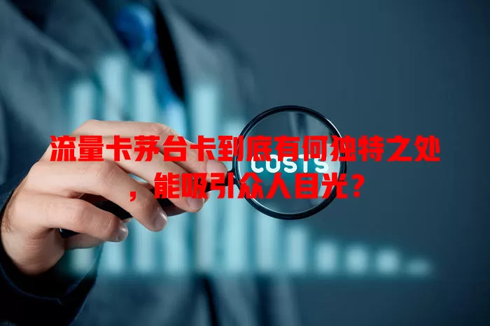 流量卡茅台卡到底有何独特之处，能吸引众人目光？