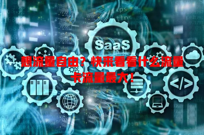 想流量自由？快来看看什么流量卡流量最大！