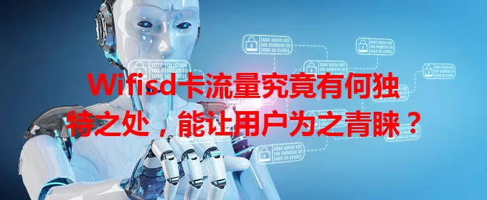 Wifisd卡流量究竟有何独特之处，能让用户为之青睐？