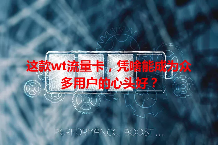 这款wt流量卡，凭啥能成为众多用户的心头好？