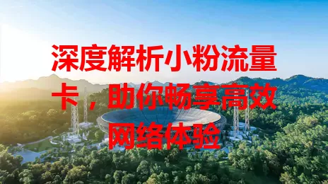 深度解析小粉流量卡，助你畅享高效网络体验