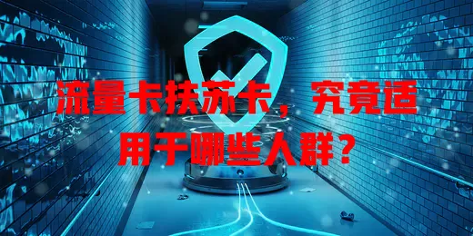 流量卡扶苏卡，究竟适用于哪些人群？