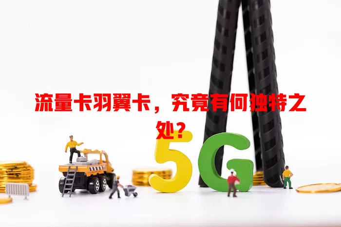 流量卡羽翼卡，究竟有何独特之处？