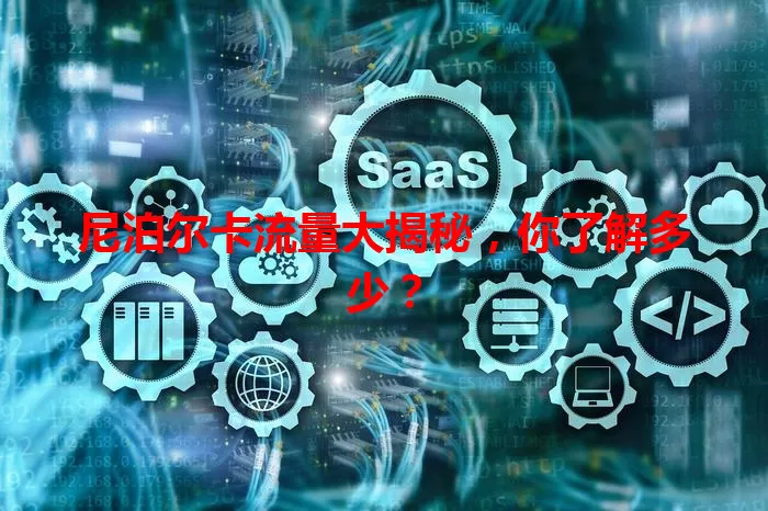 尼泊尔卡流量大揭秘，你了解多少？