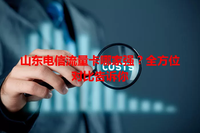 山东电信流量卡哪家强？全方位对比告诉你