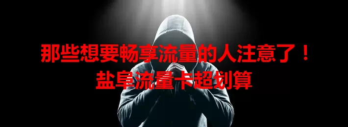 那些想要畅享流量的人注意了！盐阜流量卡超划算