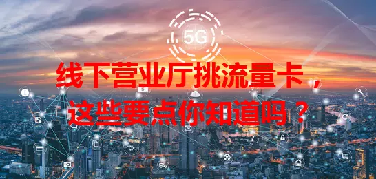 线下营业厅挑流量卡，这些要点你知道吗？