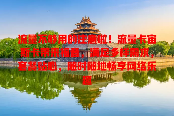 流量不够用的注意啦！流量卡宙斯卡带来福音，满足多样需求，套餐贴心，随时随地畅享网络乐趣