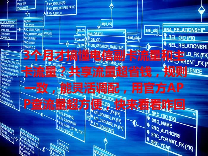 3个月才搞懂电信副卡流量和主卡流量？共享流量超省钱，规则一致，能灵活调配，用官方APP查流量超方便，快来看看咋回事！