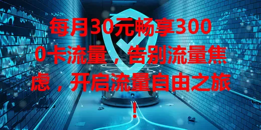 每月30元畅享3000卡流量，告别流量焦虑，开启流量自由之旅！