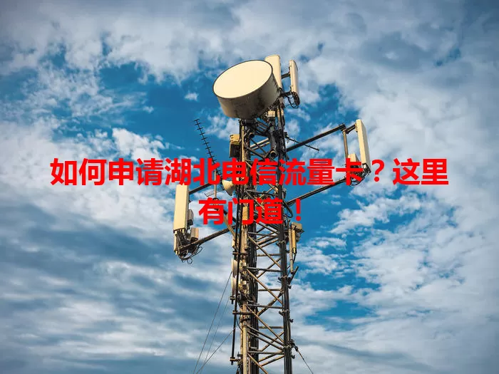如何申请湖北电信流量卡？这里有门道！