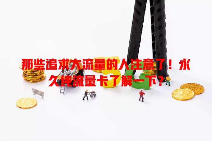 那些追求大流量的人注意了！永久纯流量卡了解一下？