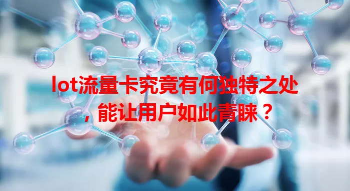 lot流量卡究竟有何独特之处，能让用户如此青睐？