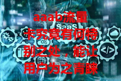 aaab流量卡究竟有何特别之处，能让用户为之青睐？