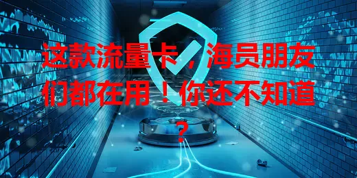 这款流量卡，海员朋友们都在用！你还不知道？