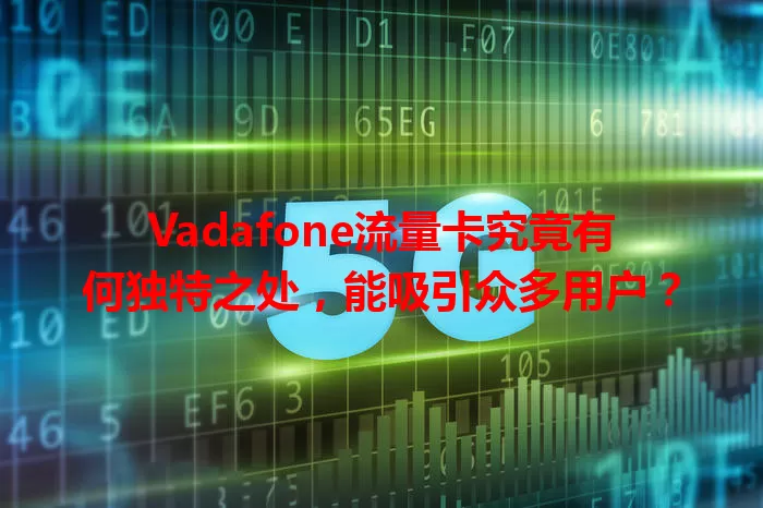 Vadafone流量卡究竟有何独特之处，能吸引众多用户？