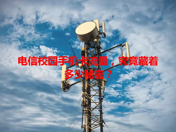 电信校园手机卡流量，究竟藏着多少秘密？