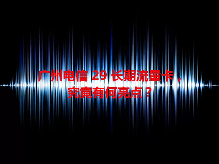 广州电信 29 长期流量卡，究竟有何亮点？