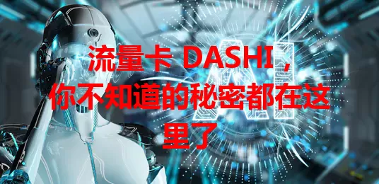 流量卡 DASHI，你不知道的秘密都在这里了