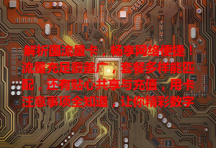 解析国流量卡，畅享网络便捷！流量充足覆盖广，套餐多样能匹配，还有贴心共享与充值，用卡注意事项全知道，让你精彩数字生活无忧