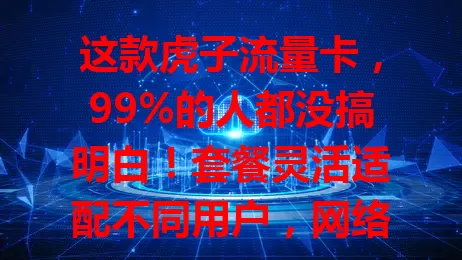 这款虎子流量卡，99%的人都没搞明白！套餐灵活适配不同用户，网络覆盖广，服务质量佳，能给你超棒上网体验，还在愁选流量卡？快来看看！