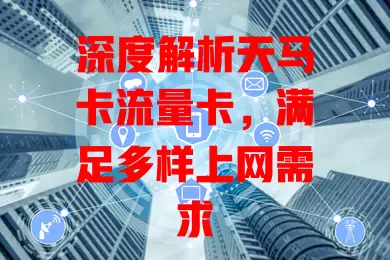 深度解析天马卡流量卡，满足多样上网需求