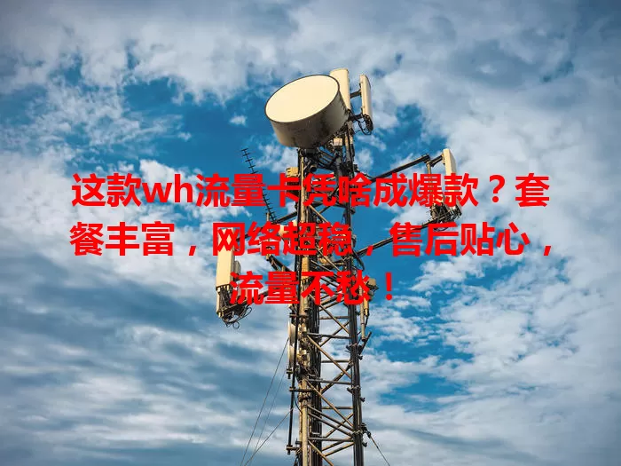 这款wh流量卡凭啥成爆款？套餐丰富，网络超稳，售后贴心，流量不愁！