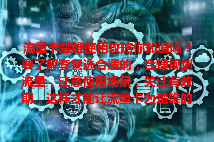 流量卡楚雄使用攻略你知道吗？要了解套餐选合适的，合理规划流量，注意使用场景，关注有效期，这样才能让流量卡为楚雄的你带来便捷上网体验