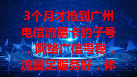 3个月才抢到广州电信流量卡豹子号，网络广信号稳，流量足服务好，体验超棒！