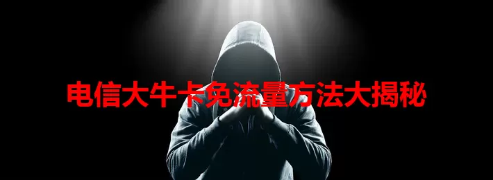 电信大牛卡免流量方法大揭秘
