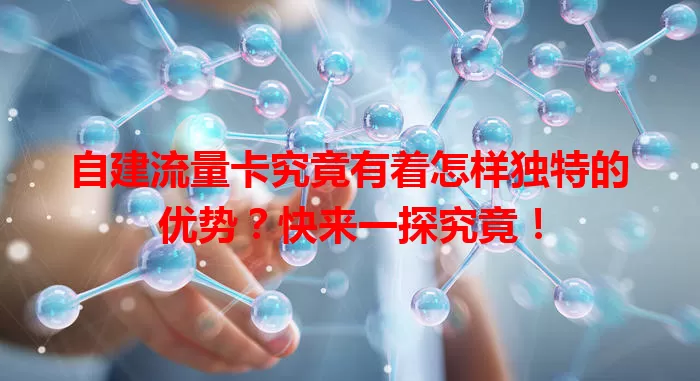 自建流量卡究竟有着怎样独特的优势？快来一探究竟！