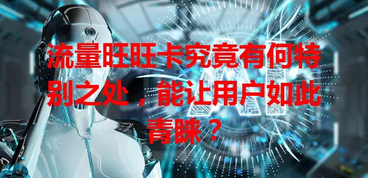 流量旺旺卡究竟有何特别之处，能让用户如此青睐？