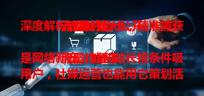 深度解析流量钓鱼卡，精准捕获流量秘籍大公开

流量钓鱼卡是网络新宠，能帮站长按条件吸用户，社媒运营也能用它策划活动涨粉。使用有技巧，了解受众需求，优化策略，善用它就能在竞争中精准抓流量实现目标。