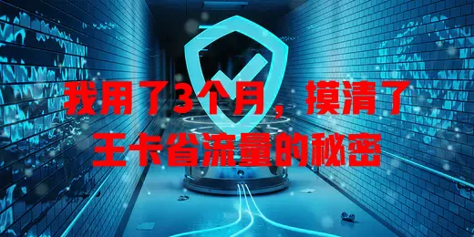 我用了3个月，摸清了王卡省流量的秘密