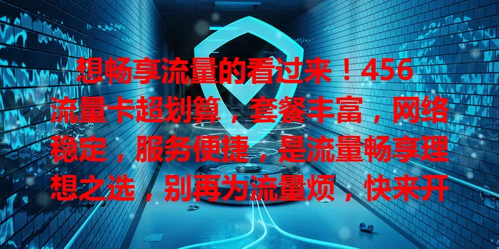 想畅享流量的看过来！456 流量卡超划算，套餐丰富，网络稳定，服务便捷，是流量畅享理想之选，别再为流量烦，快来开启畅快之旅