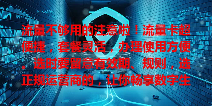 流量不够用的注意啦！流量卡超便捷，套餐灵活，办理使用方便。选时要留意有效期、规则，选正规运营商的，让你畅享数字生活，随时保持网络畅通！