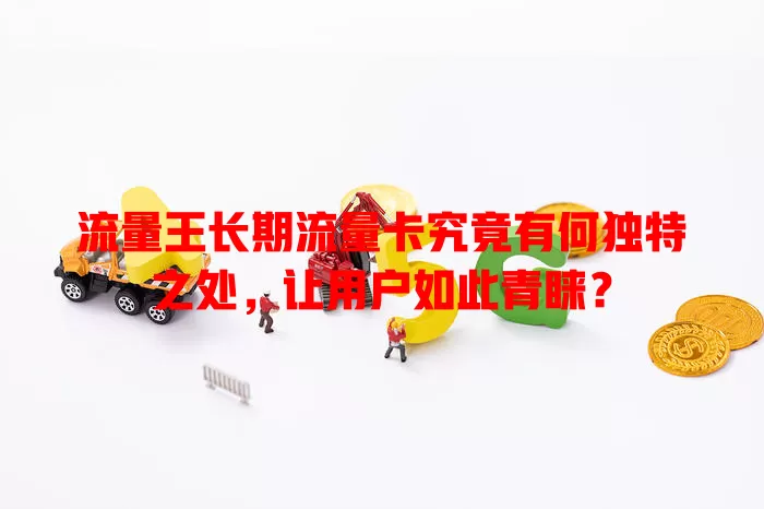 流量王长期流量卡究竟有何独特之处，让用户如此青睐？