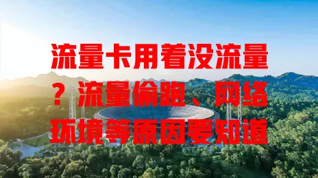 流量卡用着没流量？流量偷跑、网络环境等原因要知道