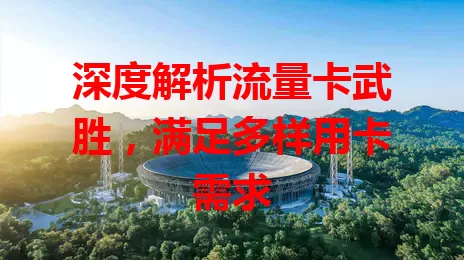 深度解析流量卡武胜，满足多样用卡需求