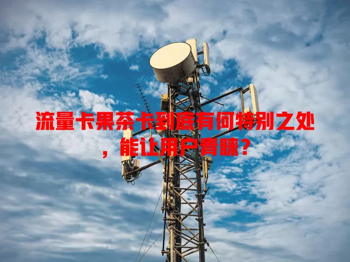 流量卡果茶卡到底有何特别之处，能让用户青睐？