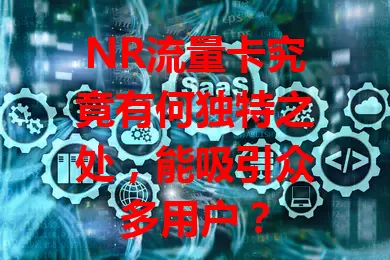 NR流量卡究竟有何独特之处，能吸引众多用户？