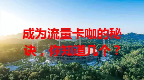 成为流量卡咖的秘诀，你知道几个？