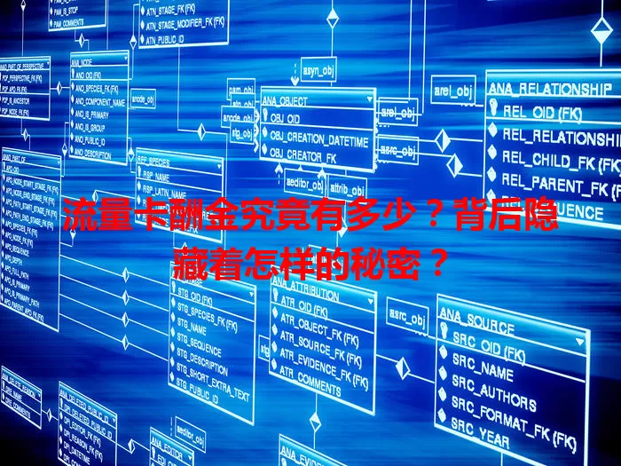 流量卡酬金究竟有多少？背后隐藏着怎样的秘密？