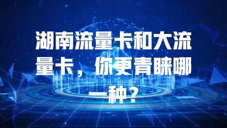 湖南流量卡和大流量卡，你更青睐哪一种？