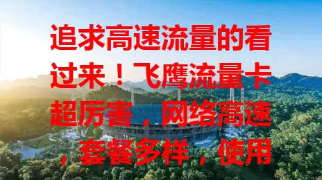 追求高速流量的看过来！飞鹰流量卡超厉害，网络高速，套餐多样，使用便捷，是你畅享上网的好选择