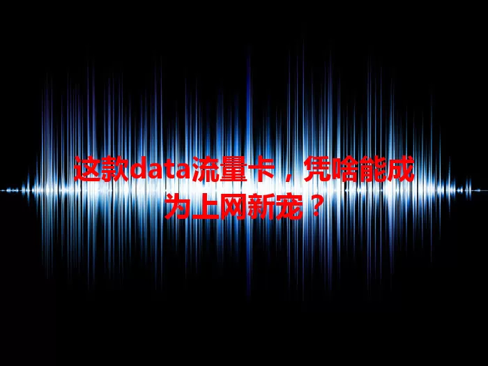 这款data流量卡，凭啥能成为上网新宠？