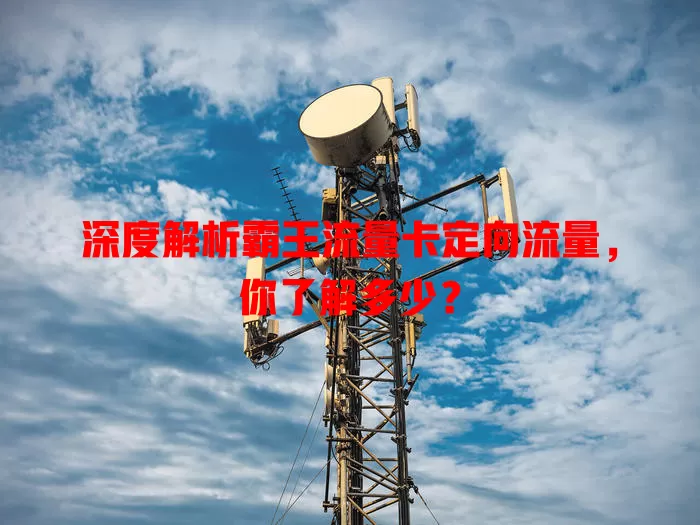 深度解析霸王流量卡定向流量，你了解多少？
