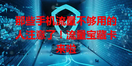 那些手机流量不够用的人注意了！流量宝藏卡来啦