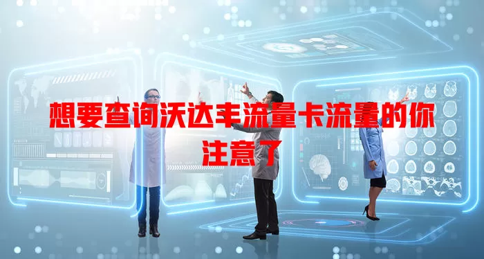 想要查询沃达丰流量卡流量的你注意了