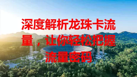 深度解析龙珠卡流量，让你轻松把握流量密码
